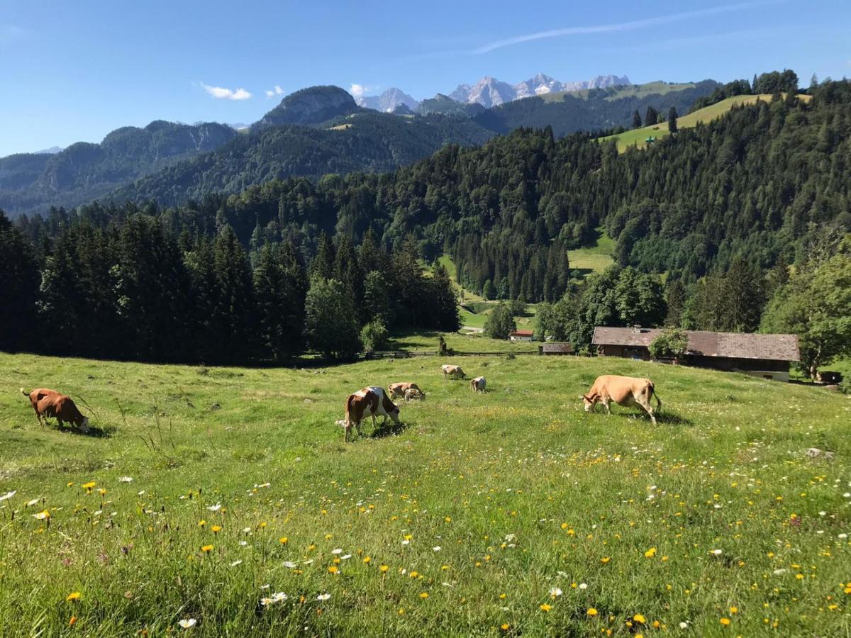 Biobauernhof Schneiderbauer Lägenhet Unken Exteriör bild
