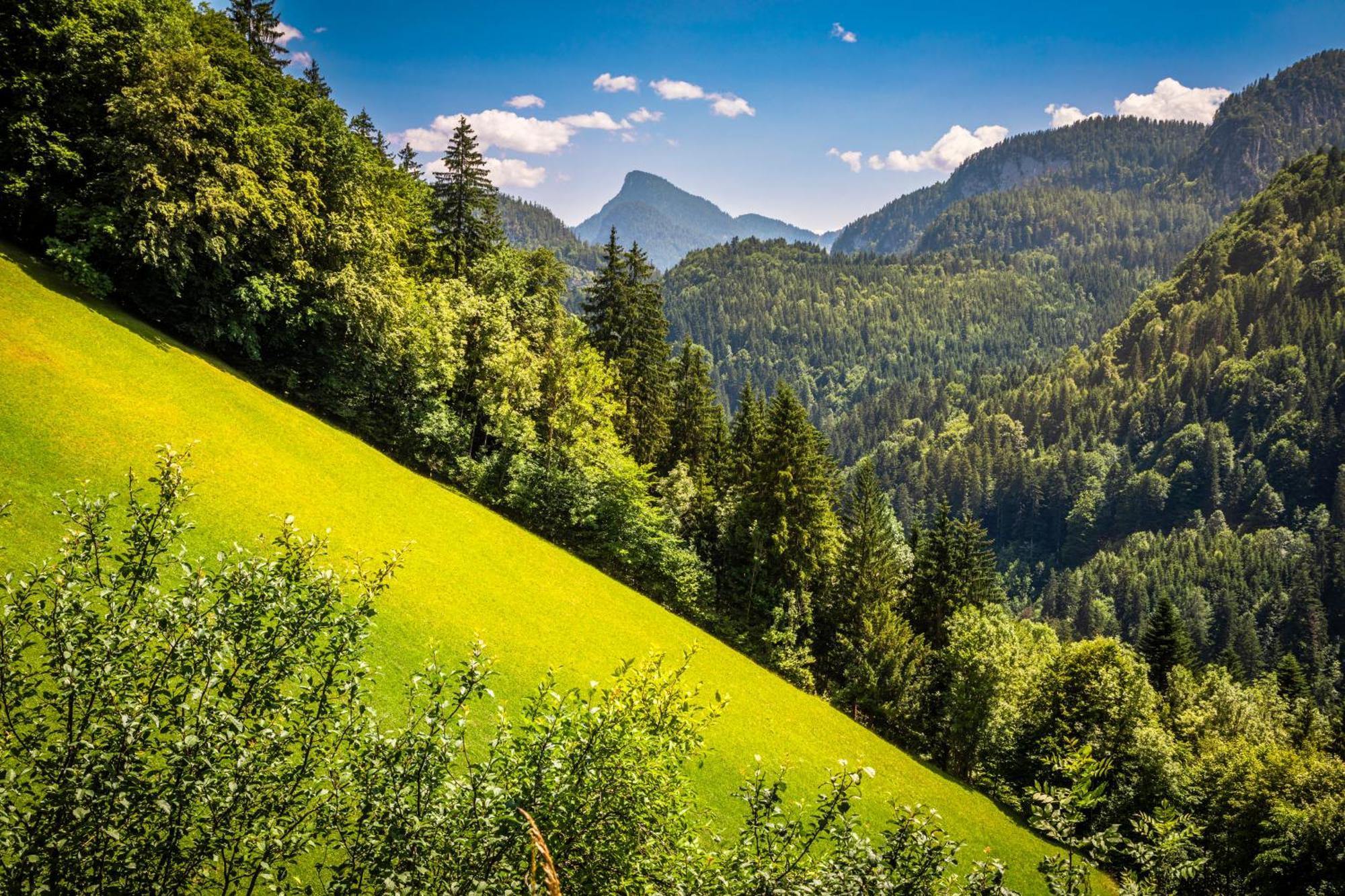 Biobauernhof Schneiderbauer Lägenhet Unken Exteriör bild